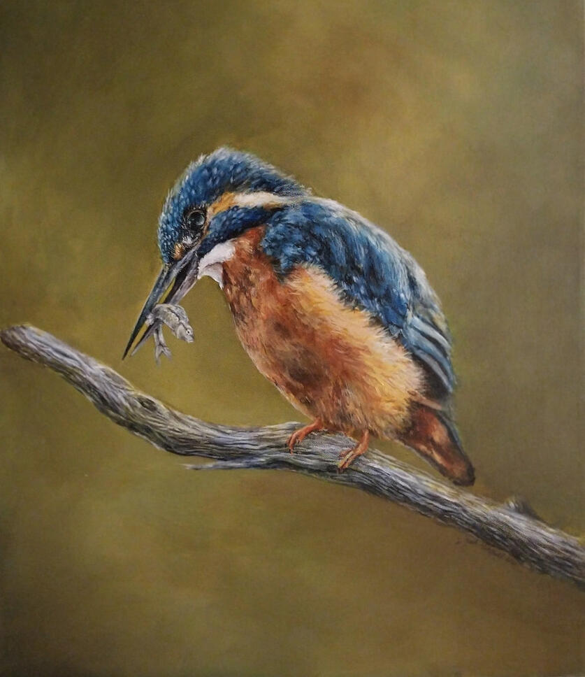 Kingfisher |18x24 | Acrylic