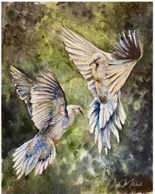 “Peaceful Morning” Soft light filters through a mossy canopy as two mourning doves rise in gentle flight, their wings catching whispers of gold and slate. A moment of quiet grace suspended in motion—tender, wild, and full of breath. Watercolor 11x14