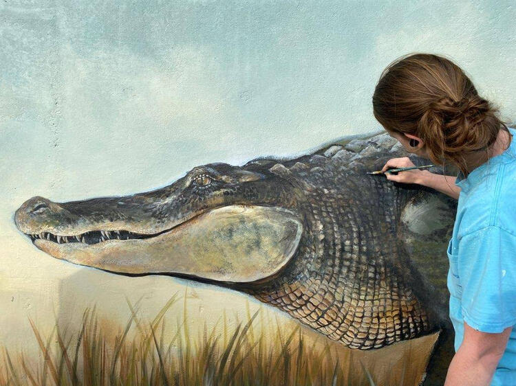 A snapshot from the locally famous Knight Ave. mural. The alligator is the eye-catching centerpiece of this 165&#39; mural.